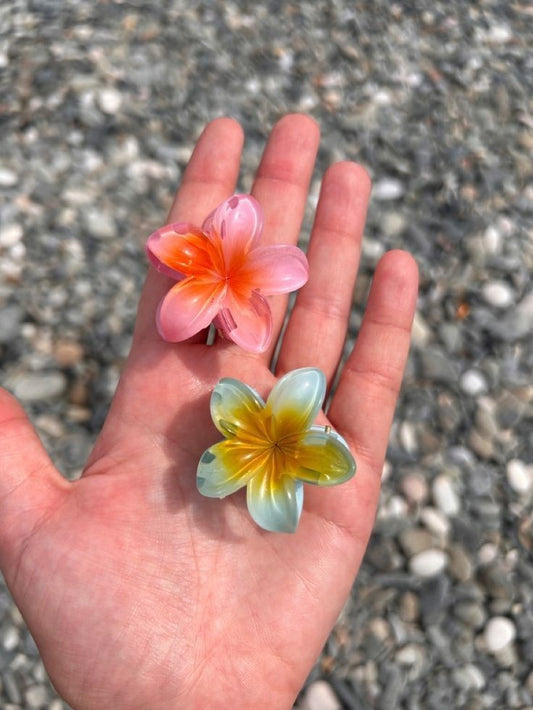 Baby bloom flower clip set
